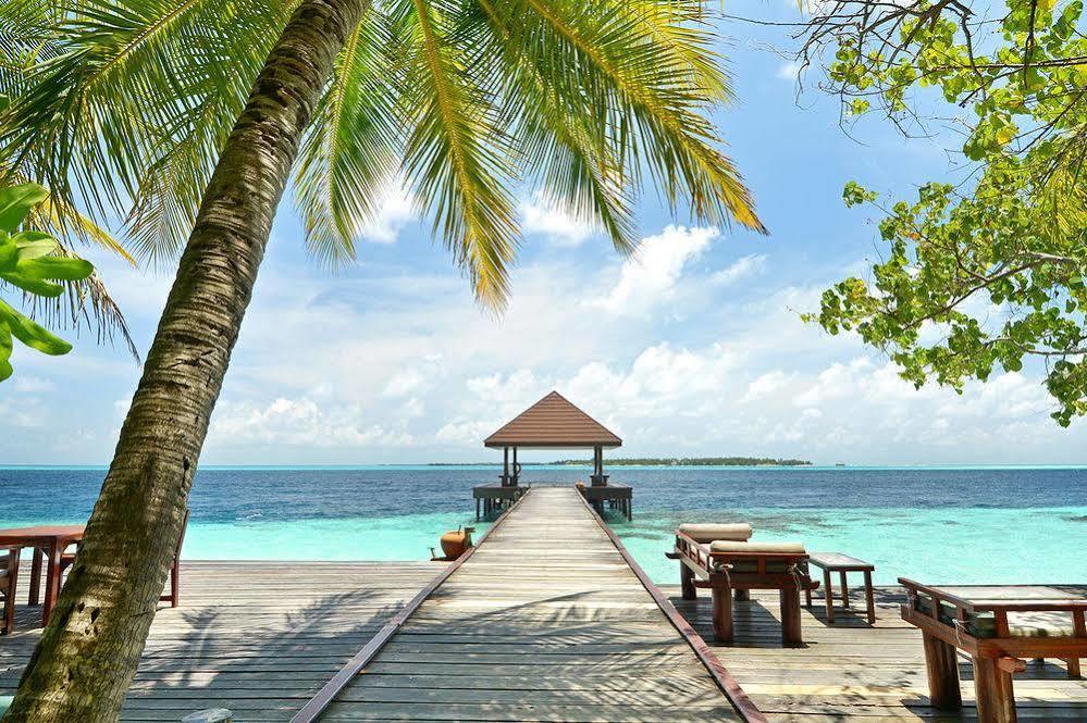 Ranveli Village Villingilivaru Island Ngoại thất bức ảnh